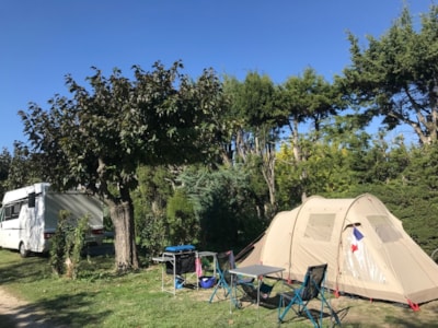 Comfort Pitch medium for Tent/Van < 5m (with electricity)