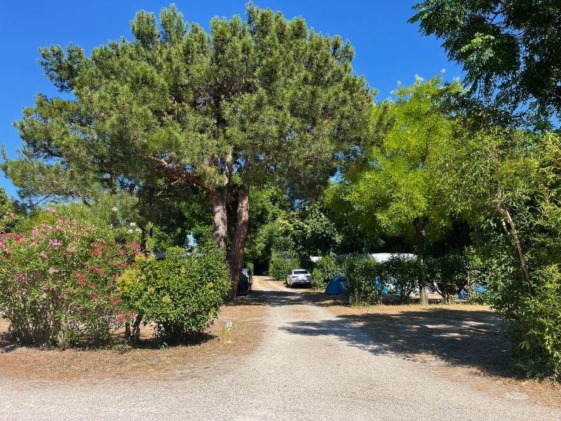 Camping Pegomas — Foto 2
