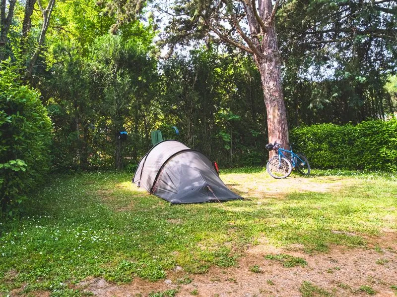 Emplacement - Emplacement Confort Medium Tente / Van < 5M (Avec Electricité) - Camping Pegomas
