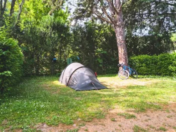 Emplacement - Emplacement Confort Medium Tente / Van < 5M (Avec Electricité) - Camping Pegomas