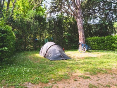 Comfort Pitch medium for Tent/Van < 5m (with electricity)