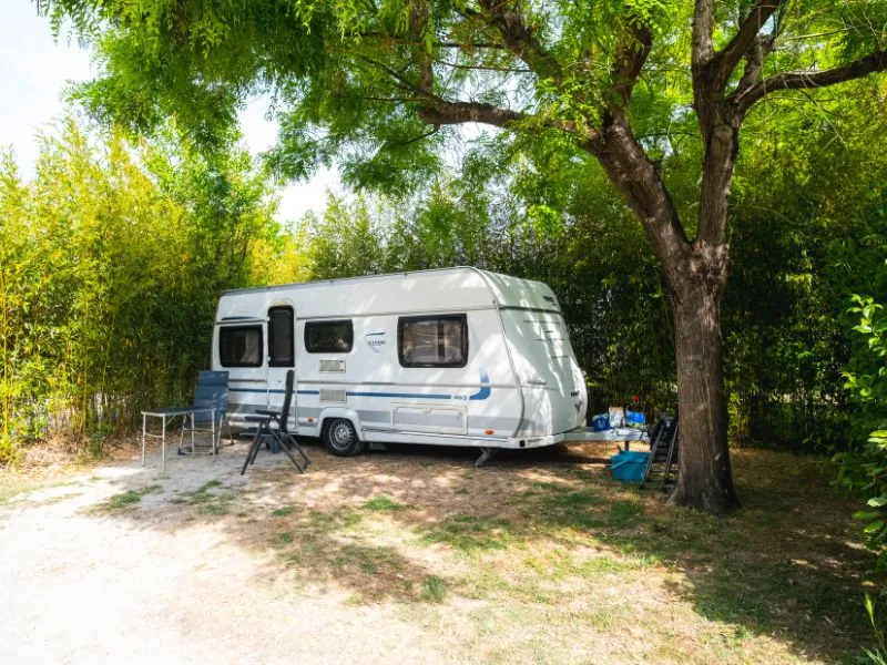 Emplacement Confort Xl Tente/Van/Caravane/Camping-Car (Avec Électricité)