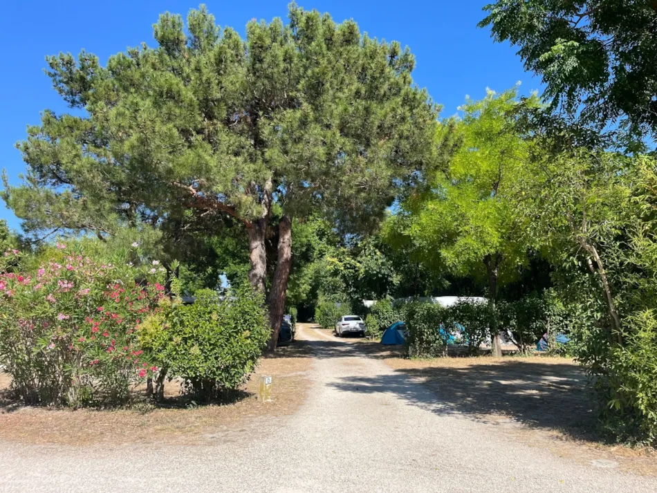 Camping Pegomas