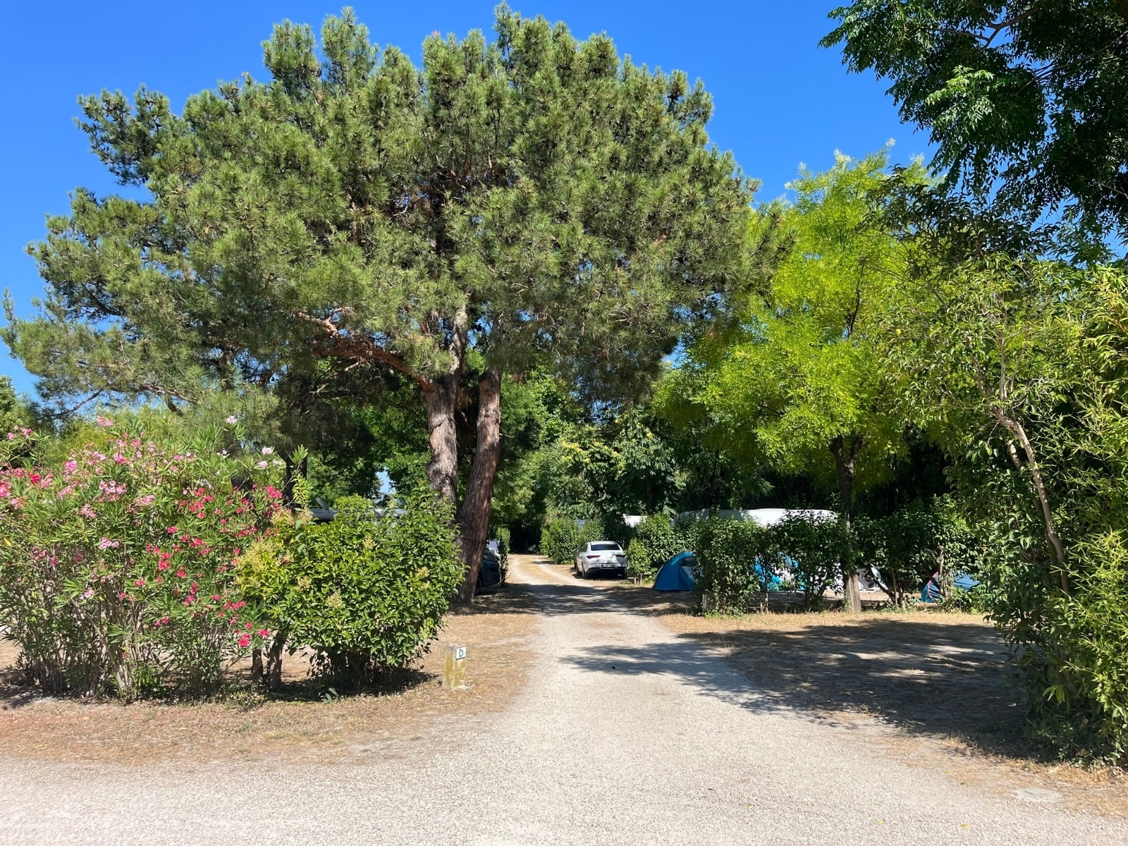 Camping Pegomas — Photo 2
