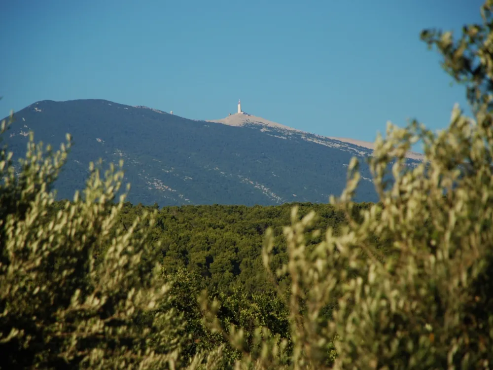 Camping Pegomas - image n°24 - UniversalBooking