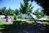 Camping Qualité