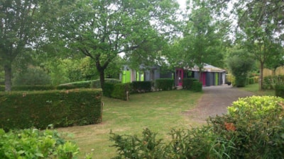 Pitch Tent — 2