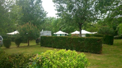 Pitch Tent — 3