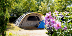 Kampeerplaats(en) - Pakket Standplaats - Sea Green - Camping Le Paradis