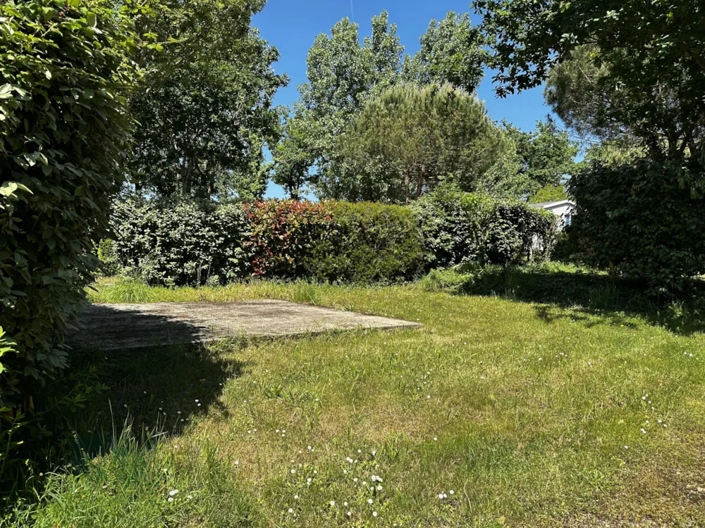 Zeltplatz Mit Befestigtem Untergrund