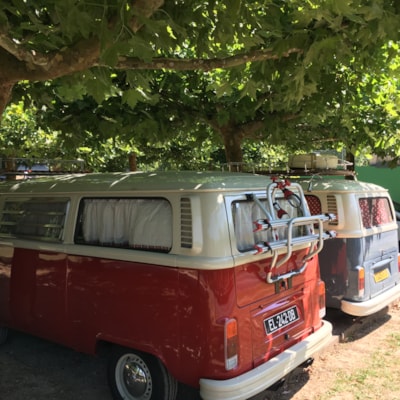 Camping car and van site, COMFORT, min. 80 m², 16A electricity, drinking water tap, waste disposal, — 3