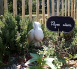 Foto #7 van Camping Le Village du Port