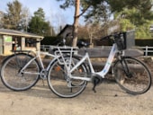 Camping Ile de Boulancourt