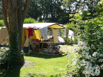 Comfort Package (1 tent or caravan / 1 car / electricity 10A) — 3