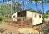 Cabane D'uther Confort 27M² (2 Chambres) + Terrasse Semi-Couverte Cabane D'uther Confort 27M² (2 Chambres) + Terrasse Semi-Couverte