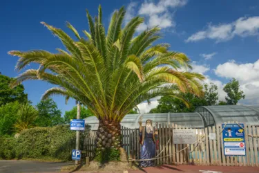 Flower Camping le Kergariou - image n°2 - Camping Direct