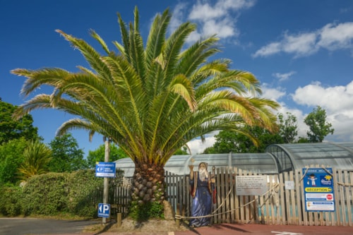 Foto #1 van Flower Camping le Kergariou