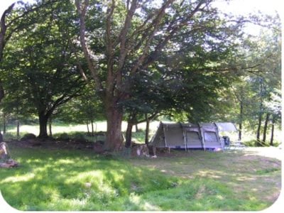 Tarif nature : Pitch: car + tent