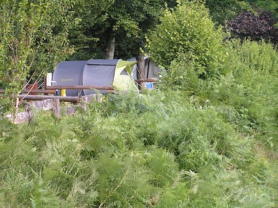 Tarif nature : Pitch: car + tent