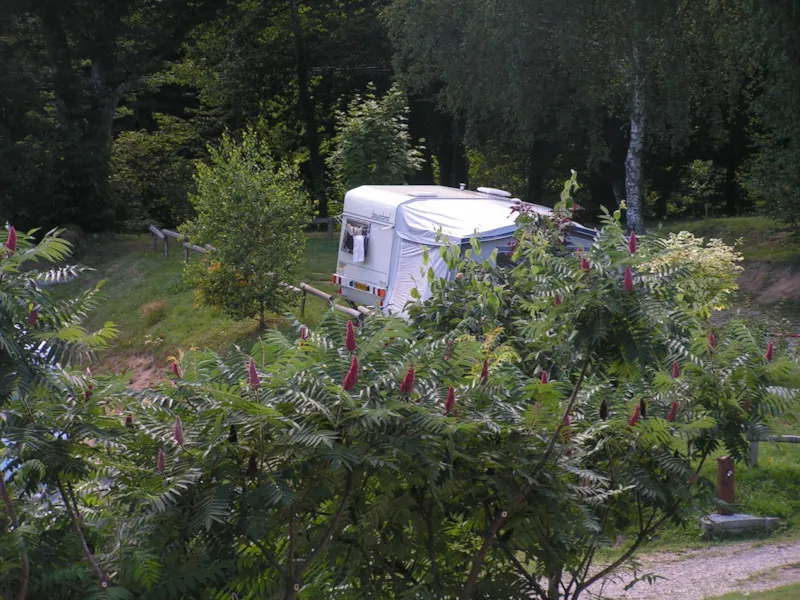 Forfait Confort Terrasse Stabilisé