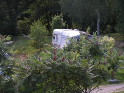 Pitch - Comfort Package - Camping LA FOUGERAIE