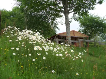 Mietunterkunft - Chalet 4 Jahreszeiten - Camping LA FOUGERAIE