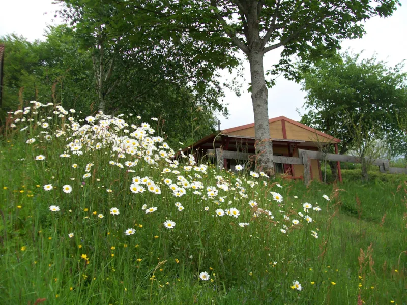 Chalet Eco 5 Personnes