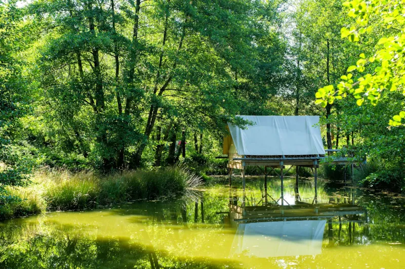 Tente Robinson Seul Au Monde
