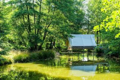 Tent Robinson Seul Au Monde