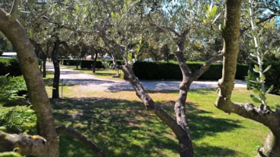 Pitch 200m² — 2