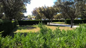 Stellplatz - Camping Stellplatz 100M² - Camping des Favards