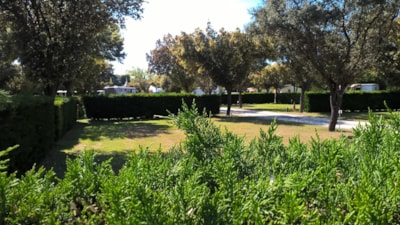 Camping pitch 100m² — 1