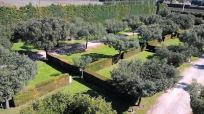 Camping pitch 100m² — 2