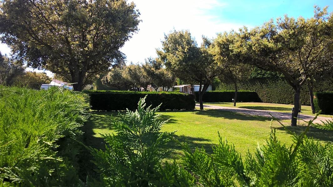Camping des Favards — Photo 7