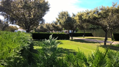 Camping des Favards
