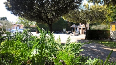 Camping des Favards