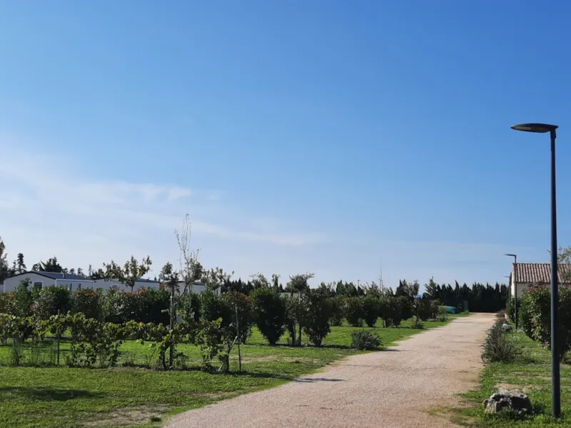 Emplacement En Camping 100M²