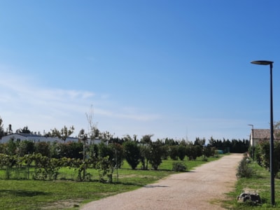 Camping pitch 100m² — 6