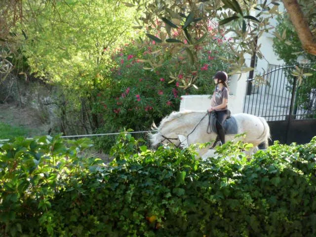 Camping L'Olivier - image n°16 - UniversalBooking