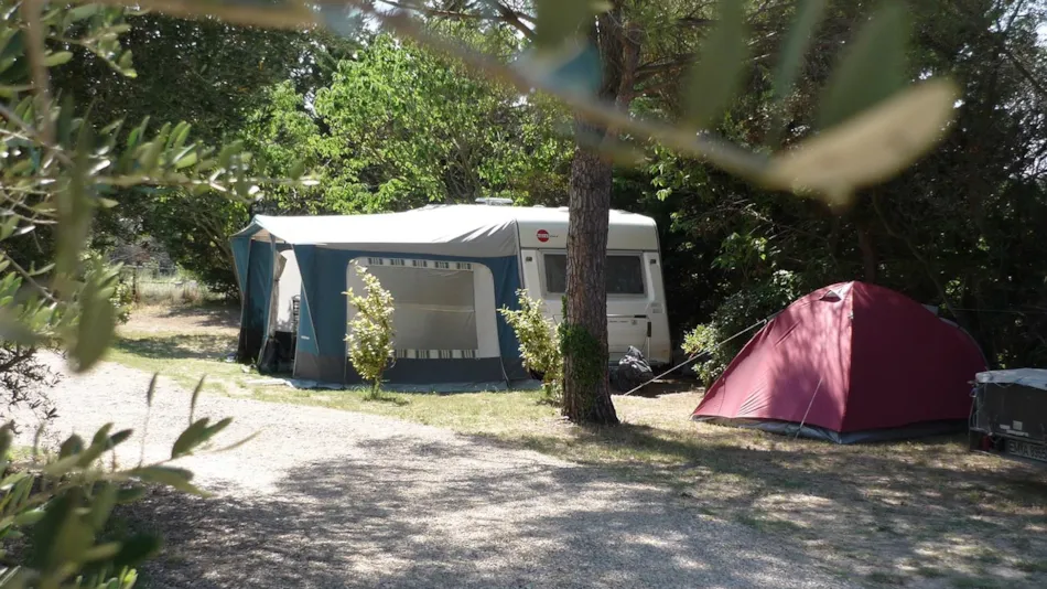 Camping L'Olivier