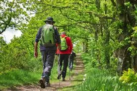 Camping L'Olivier - image n°24 - UniversalBooking