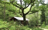Tente Lodge Le Pivert Tente Lodge Le Pivert