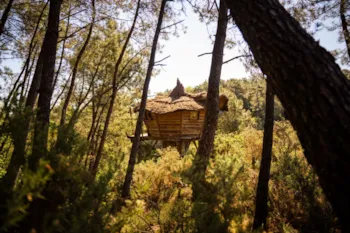 Mietunterkunft - Cabane De La Vilaine - Le Pertuis du Rofo
