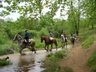 Camping Presa La Viñuela