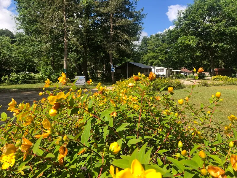 Emplacement - Forfait Rando : 1 Personne + 1 Tente - Camping Seasonova Etang de la Vallée