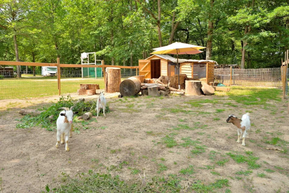 Camping Seasonova Etang de la Vallée