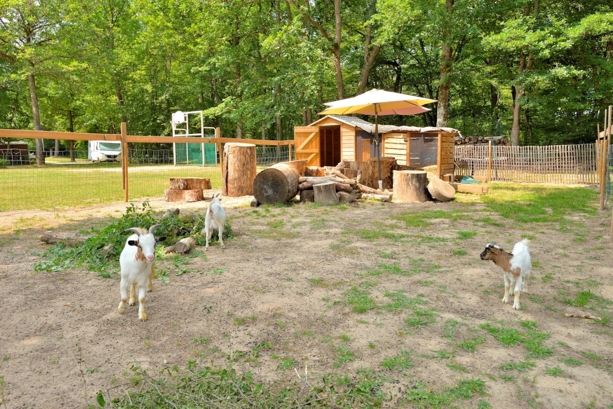 Camping Seasonova Etang de la Vallée