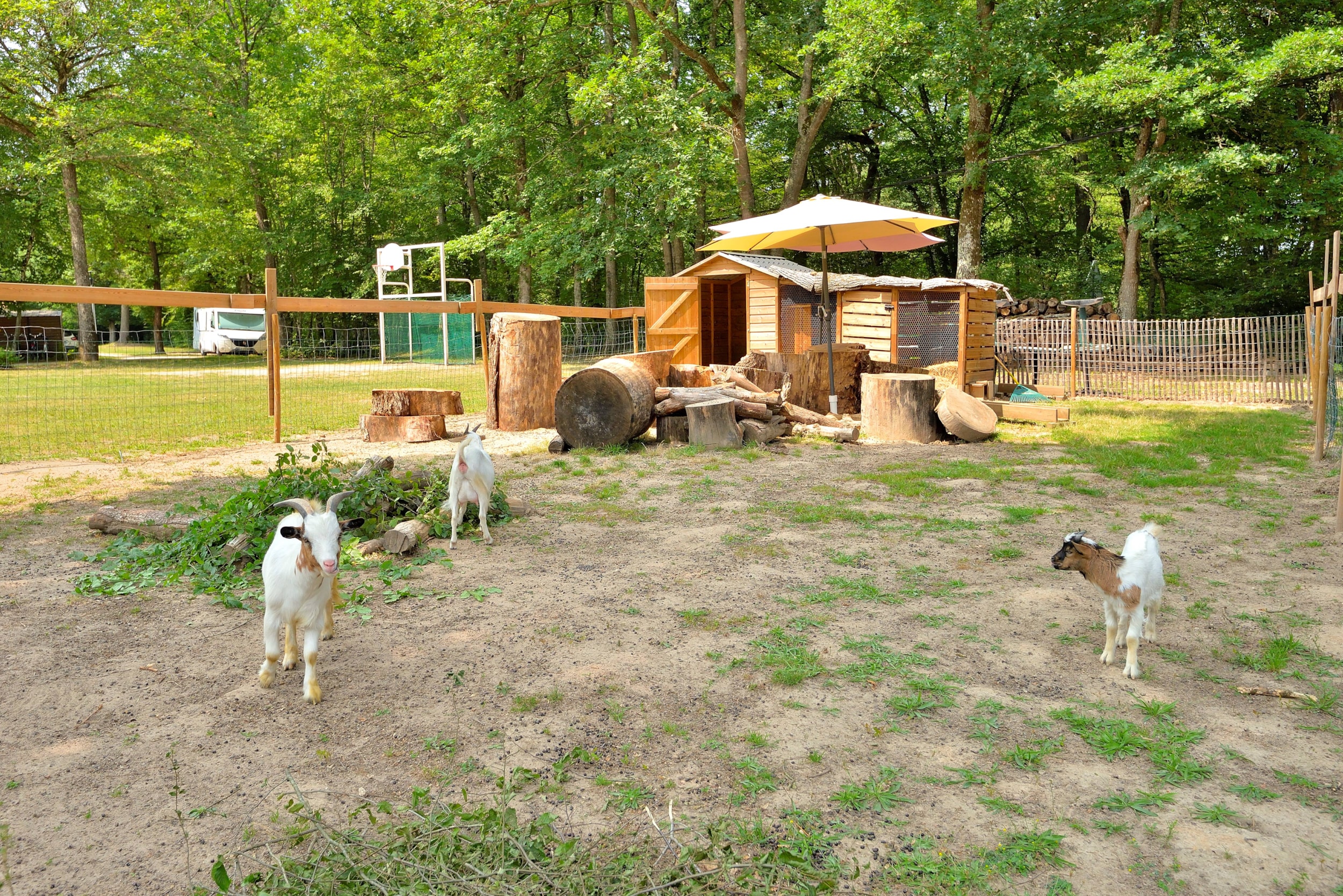 Camping Seasonova Etang de la Vallée — Photo 5