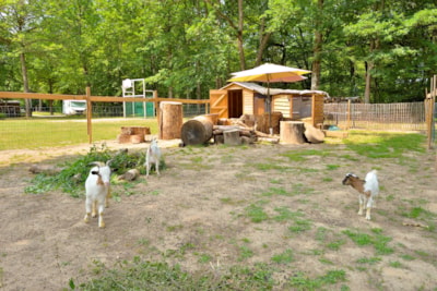 Camping Seasonova Etang de la Vallée