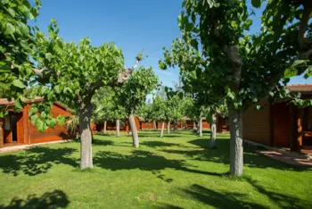 Mietunterkunft - Bungalow Gregal - Camping La Llosa